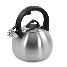 Чайник металлический со свистком MARTA MT-3090 для плиты
