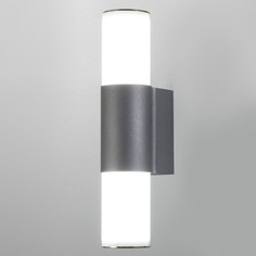 Светильник подсветка для картины Аурис LED 12Вт 4000К серебро 25х9 см Bayer Lux