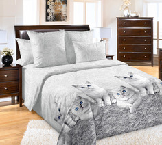 Простыня 2-спальная, бязь Люкс Кесси компаньон Ивановотекстиль