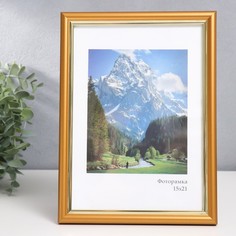 Фоторамка пластик "Гамма" 15х21 см, матовое золото Sima Land