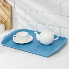 Поднос, «Дональд», 44?32 см, цвет МИКС ПЕТРОПЛАСТ