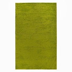 Ковер Фризе Шегги, цвет салатовый, 200х400 см Витебские ковры