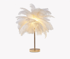 Перьевой настольный светильник, светодиодный, ночник, декоративный, белое перо FL_02w No Brand