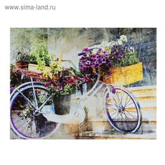 Картина на холсте Цветочный велосипед 30х40 см No Brand