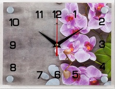 Часы настенные 21 Век Орхидеи, 25.5х20см, 2026-11