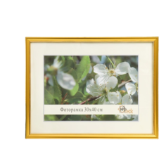 Фоторамка пластик 30х40 см 1017-1056 No Brand