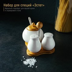 Набор для специй Доляна «Эстет», 3 предмета: солонка, перечница, сахарница с ложкой