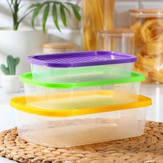 Набор контейнеров пищевых BioFresh, 3 шт: 0,5 л, 1 л, 1,6 л, прямоугольные, цвет МИКС ИскраПласт