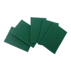 Салфетки Paul Masquin для уборки, ПВХ, зеленые, 16 x 11 см, 5 шт.