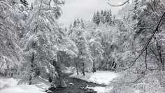 Картина на холсте 60x110 LinxOne "Природа, пейзаж, натура, флора