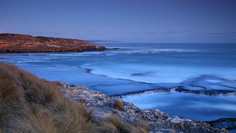 Картина на холсте 60x110 LinxOne "Природа, пейзаж, натура, флора