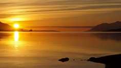 Картина на холсте 60x110 LinxOne "Природа, пейзаж, натура, флора