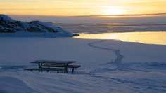 Картина на холсте 60x110 LinxOne "Природа, пейзаж, натура, флора