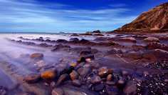 Картина на холсте LinxOne 60x110 Природа пейзаж натура флора