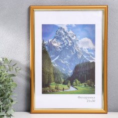 Фоторамка пластик "Гамма" 21х30 см, матовое золото No Brand