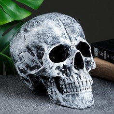 Копилка "Череп" 16х13х22 см Хорошие сувениры