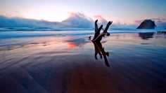 Картина на холсте 60x110 LinxOne "Природа, пейзаж, натура, флора