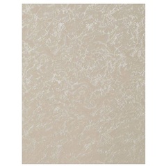 Штора рулонная СРШ-01МП-79506 52(48)/170 РБ Delfa M