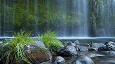 Картина на холсте 60x110 LinxOne "Природа, пейзаж, натура, флора