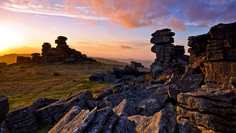 Картина на холсте LinxOne 60x110 Природа пейзаж натура флора