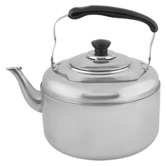 Чайник нерж 5,0л без свистка RGS-8515,(500 077 301) Appetite