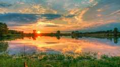 Картина на холсте 60x110 LinxOne "Природа, пейзаж, натура, флора