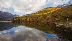 Картина на холсте 60x110 LinxOne "Природа, пейзаж, натура, флора