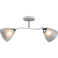 Люстра потолочная Reluce 01706-0.3-02