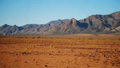 Картина на холсте LinxOne 60x110 Природа пейзаж натура флора