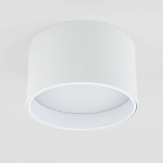 Потолочный акцентный LED светильник Elektrostandard Banti 25123/LED матовый 4200 К 13 Вт