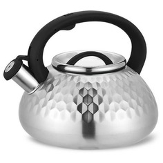 Чайник для плиты MR-Gray Мини маэстро
