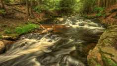 Картина на холсте 60x110 LinxOne "Природа, пейзаж, натура, флора