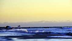 Картина на холсте 60x110 LinxOne "Природа, пейзаж, натура, флора