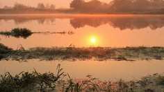 Картина на холсте 60x110 LinxOne "Природа, пейзаж, натура, флора