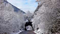 Картина на холсте 60x110 LinxOne "Природа, пейзаж, натура, флора