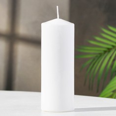 Свеча - цилиндр, 5х15 см белая Богатство Аромата