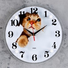 Часы настенные, серия: Животный мир, "Кот", плавный ход, d=30 см China