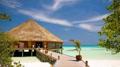 Картина на холсте 60x110 LinxOne "Природа, пейзаж, натура, флора