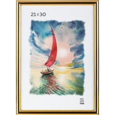 Фоторамка А4 пластиковая PS 515 золото глянец Зебра