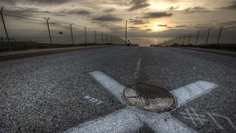 Картина на холсте LinxOne 60x110 Природа пейзаж натура флора