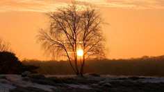 Картина на холсте 60x110 LinxOne "Природа, пейзаж, натура, флора