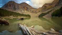 Картина на холсте 60x110 LinxOne "Природа, пейзаж, натура, флора