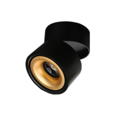 Потолочный точечный светильник Agenda black+gold 10W Imperium Loft