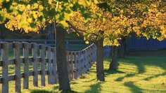 Картина на холсте 60x110 LinxOne "Природа, пейзаж, натура, флора