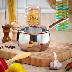 Ковш 1.8 л ручка индукция Daniks Карлин GS-01332G-16S