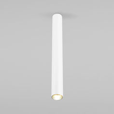 Потолочный акцентный светильник Elektrostandard Pika 25030/LED белый светодиодный