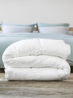 Одеяло GoodNight Organic искусcтвенный лебяжий пух/тик 300 гр/м2 1,5 сп. (140х205)