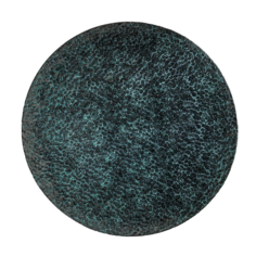 Тарелка обеденная Moss, d=27 см Porland