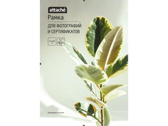 Рамка Attache 21x30 см 1603603