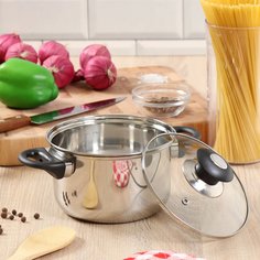 Кастрюля 1.9 л с крышкой DNN4 GS-01110-16CA-1 индукция No Brand